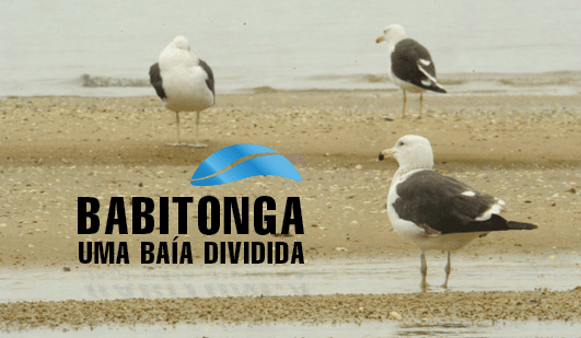 A Notícia Babitonga, uma baía dividida /página&nbsp;online